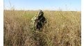 Маскировочный халат Taganrog Кикимора – купить по цене 3550 руб. в интернет-магазине в городе Ульяновск картинка 13